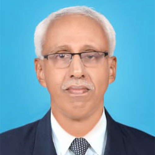 Team Member